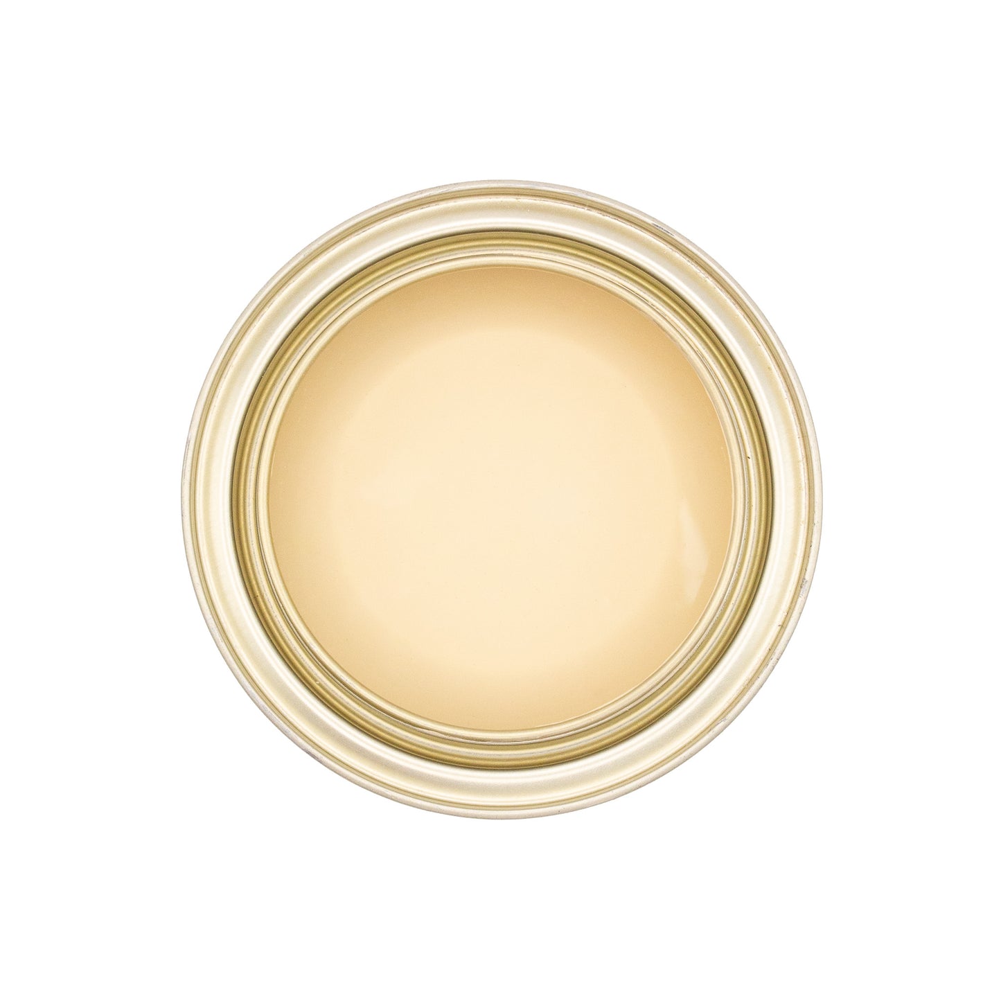 Chalk Paint - Golden Pony