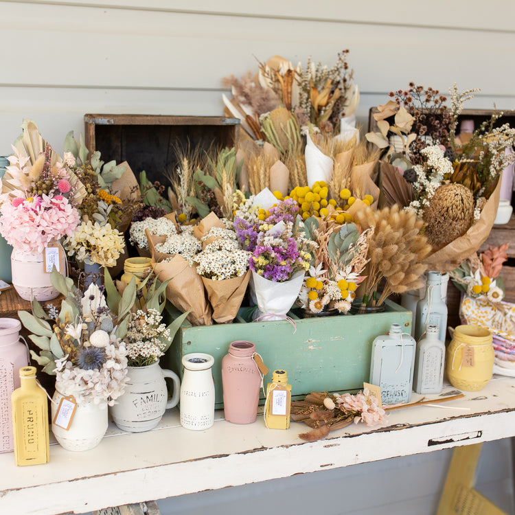 Everlasting dried flowers