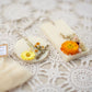 Wax Diffuser - Trio Giftbox - Australian Bushwalk