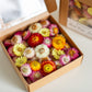 Strawflower Daisy Heads