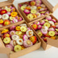 Strawflower Daisy Heads
