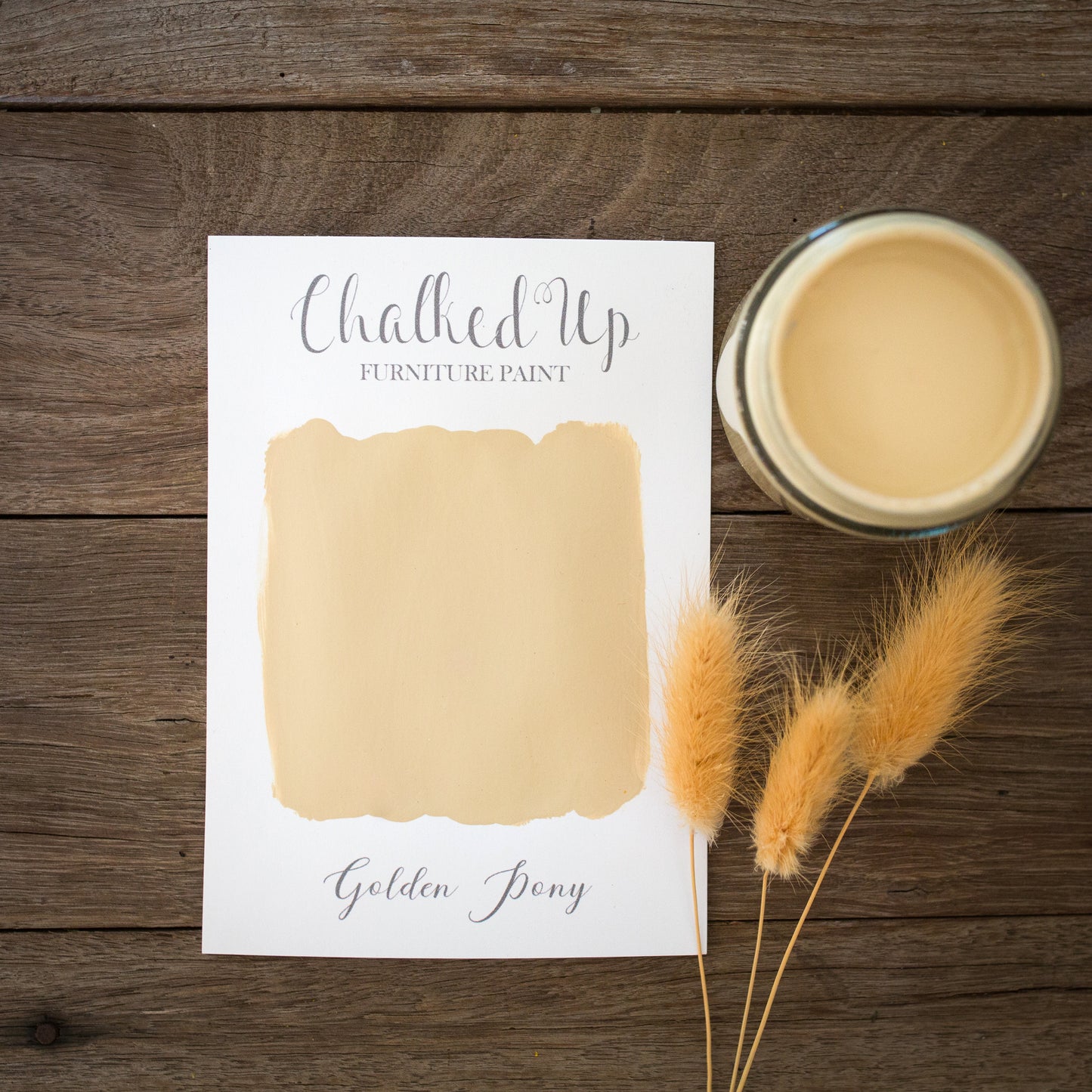 Chalk Paint Starter Pack