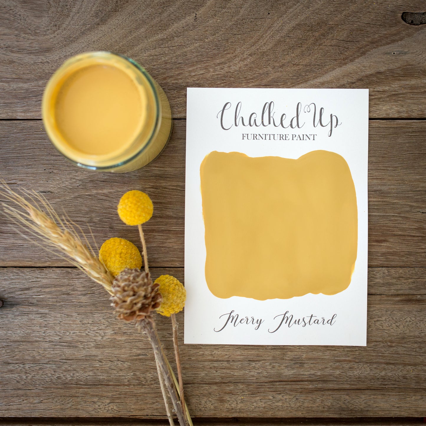 Chalk Paint Starter Pack