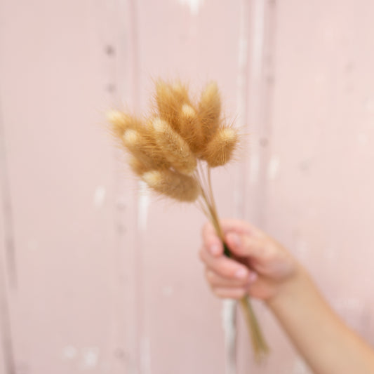 Muscle Creek Creative® Dried Bunny Tails